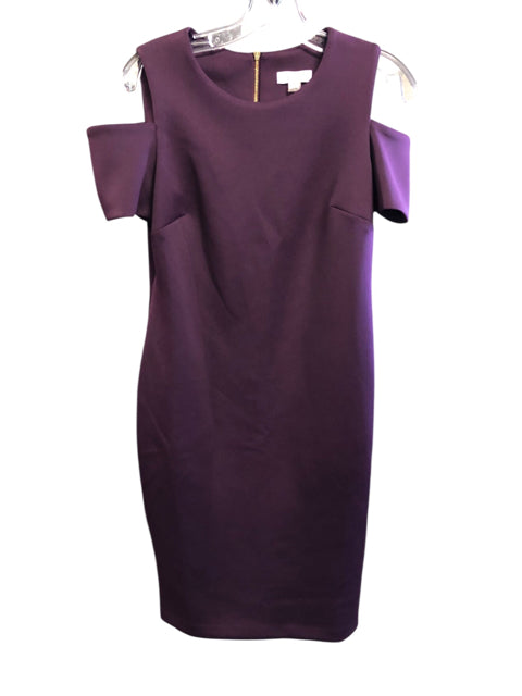 Size 10 CALVIN KLEIN Dress