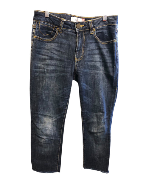 Size 2 CABI Jeans