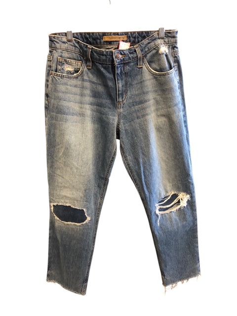 Size 6 JOES Jeans
