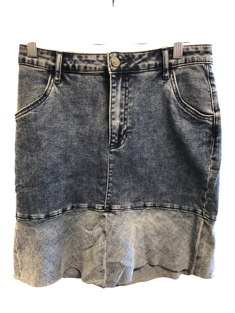 Size 4 WASH LAB Skirt