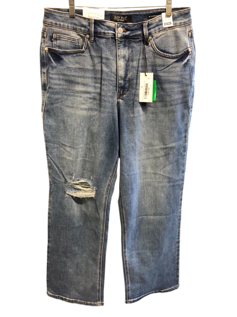 Size 16 JUDY BLUE Plus Size Bottoms