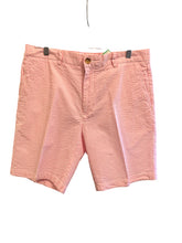 Load image into Gallery viewer, VINEYARD VINES Size 34 Shorts
