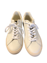 Load image into Gallery viewer, 9 VEJA Shoes
