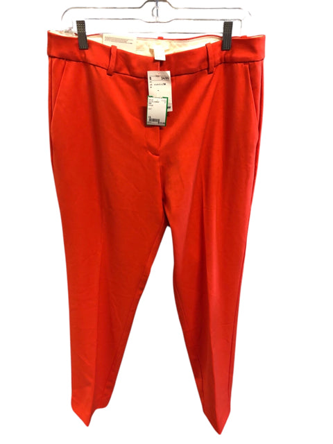 Size 16 H&M Plus Size Bottoms