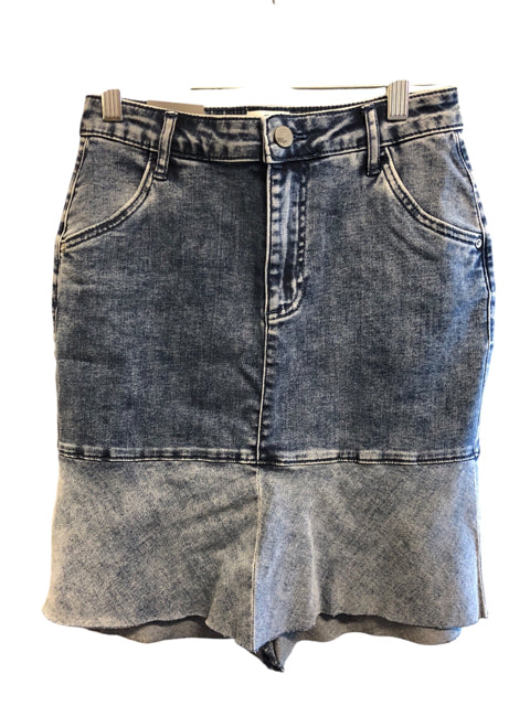 Size 0 WASH LAB Skirt