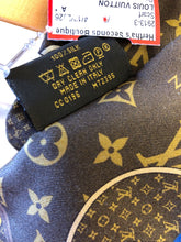 Load image into Gallery viewer, LOUIS VUITTON Scarf
