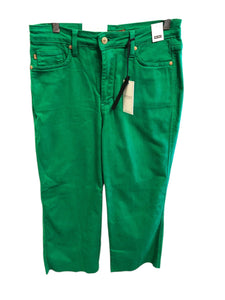 Size 9 JUDY BLUE Jeans
