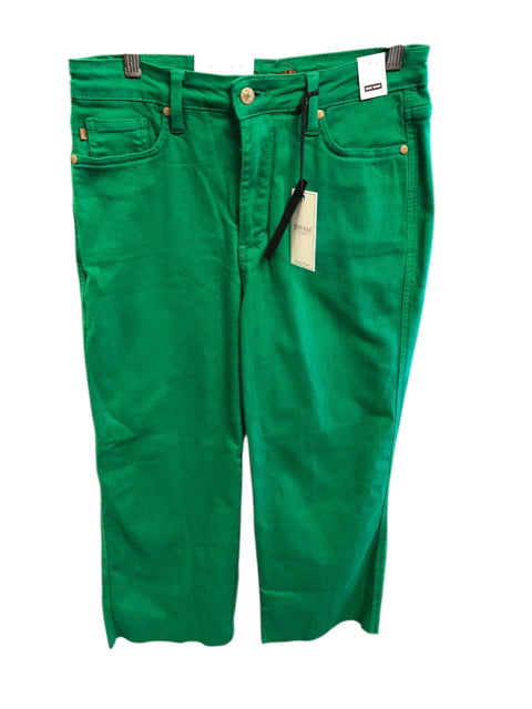 Size 9 JUDY BLUE Jeans