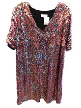 Load image into Gallery viewer, Size 2X J CREW Plus Size Dress/Skirt
