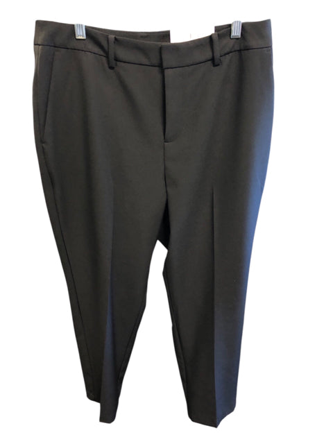 Size 12 INC Pants